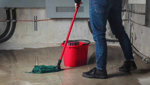 Best Water damage restoration company  in Marysville, CA