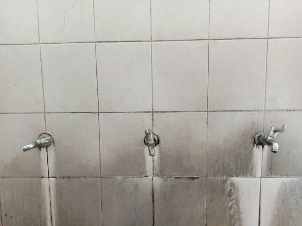 Best Professional water damage repair  in Marysville, CA