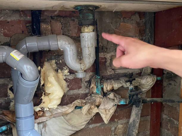 Best Professional water damage repair  in Marysville, CA