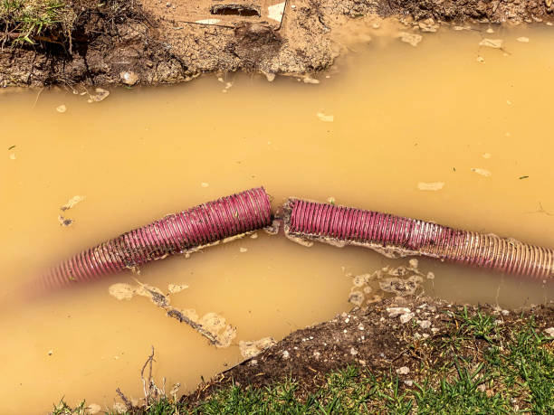Best Water damage cleanup near me  in Marysville, CA