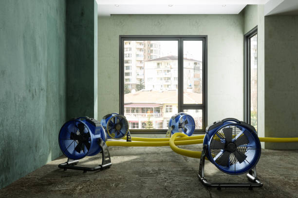 Best Fire Damage Restoration  in Marysville, CA